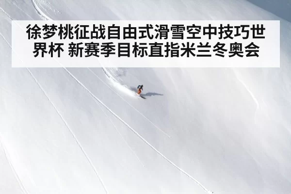 徐梦桃征战自由式滑雪空中技巧世界杯 新赛季目标直指米兰冬奥会